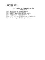 Đề cương ôn địa lý 8 - HKII năm 2012-2013