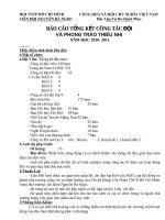 bao cao tong ket 2012- 2013