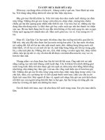 tả cơn mưa rào mùa hè