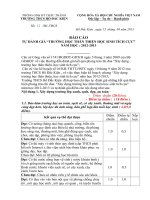 báo cáo tự kiểm tra trường học thân thiên học sinh tích cực 2012-2013