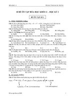 10 đề ôn tập hóa 11 - HKII - 2013 - P1 (4 đề)