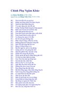 Chinh phụ ngâm - Đoàn Thị Điểm & Đặng Trần Côn