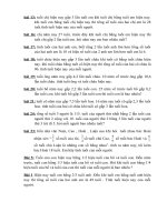 Các bài toán về tính tuổi