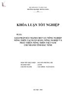 giải pháp đẩy mạnh cho vay nông nghiệp nông thôn tại ngân hàng nông nghiệp và phát triển nông thôn việt nam - chi nhánh tỉnh bắc ninh
