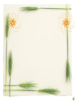 Them trang ngu chi noi chon  cho cau