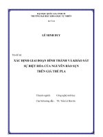xác định giai đoạn hình thành và khảo sát sự biệt hóa của nguyên bào sụn trên giá thể pla