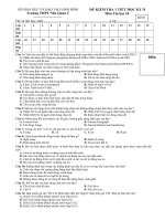 de thi hoc ki 2 lop 10 tin