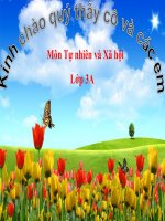 Bài 58 Mặt Trời TNXH lớp 3