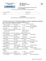 Đề KT thử học kỳ II 2012-2013