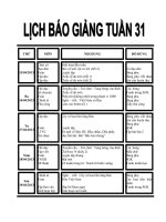 giáo án lớp 2 tuần 31-2013