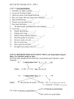 bai tap on tap hoc ky 2 tieng Anh 11