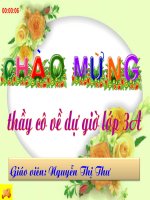 Bài thao giảng lá cây