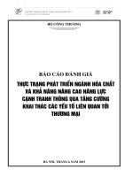 thực trạng phát triển nghành hóa chất và khả năng nâng cao năng lực cạnh trạnh thông qua tăng cường khai thác các yếu tố liên quan tới thương mại