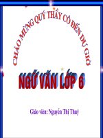 Ngữ Văn 6-Bài-Cây tre Việt Nam