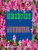 Tập làm văn : Tuần 30