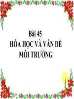 Bai 45: Hoa hoc va moi truong