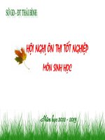 bai tap cơ chế di truyền và biến dị cấp phân tử