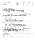 ktra 15p li 8 nam 2013 hot