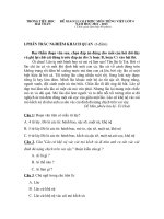 DE THI HOC SINH GIOI TIENG VIET 4