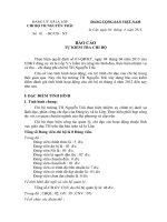 bao caotu kiem tra chi bo