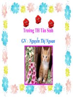 TNXH L.1- CON MÈO - GV : NGOAN