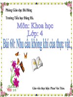 Nhu cầu không khí của thực vật