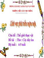 bài thơ Cây dây leo