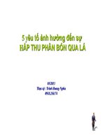 Các yếu tố ảnh hưởng đến sự hấp thu phân bón qua lá