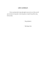 tính sai số  của phép xấp xỉ và tính thứ nguyên chỉnh hóa trong phương pháp chặt cụt của đa thức lagrange