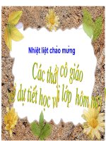Chuyên đề Điện Biên Phủ