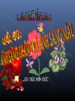 Ánh Sáng trắng và ánh sáng màu