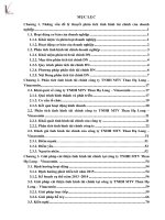 phân tích tình hình tài chính của công ty trách nhiệm hữu hạn một thành viên than hạ long - vinacomin