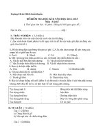 de thi vat li 7 hoc ki 2 2012- 2013 co ma tran . chuan