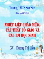 Thanh phan chinh cua cau  hay