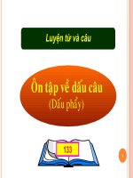 ôn tập dấu câu tuần 31