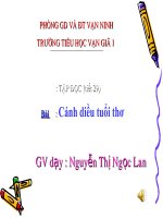 Tập đoc: Cánh diều tuổi thơ