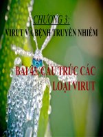 bài 43. cấu trúc các loại virut