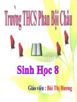 bài . tim và mạch máu