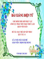 The Gioi Thuc Vat - sap xep theo qui tac 1-1