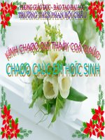 Bài 12 - Sự biến dạng của rễ