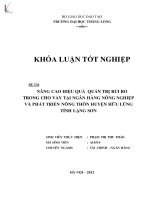 nâng cao hiệu quả quản trị rủi ro trong cho vay tại ngân hàng nông nghiệp và phát triển nông thôn huyện hữu lũng tỉnh lạng sơn