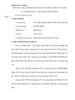 TÌM HIỂU QUÁ TRÌNH HÌNH THÀNH VÀ ĐỊNH HƯỚNG PHÁT TRIỂN CỦA CÔNG TY THƯƠNG MẠI  XÂY DỰNG BẠCH ĐẰNG NHỮNG NĂM TỚI