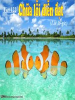 chua loi dien dat (loi logic)