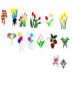 TƯ LIỆU ẢNH ĐỘNG TUYỆT ĐẸP