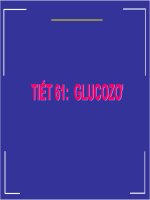 Tiêt 61: Glucozo
