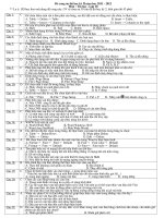 Đề cương tin học HKII  Lớp 10