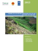 nghiên cứu các mô hình giảm nghèo của các đối tác quốc tê ở việt nam