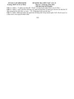 Đề thi học kỳ 2 môn ngữ văn