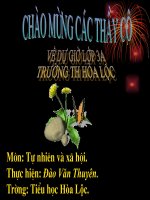 mộn TNXH bài Côn trùng (Chuẩn KTKN)