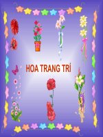 Hình động trang trí các loại hoa đẹp nhất